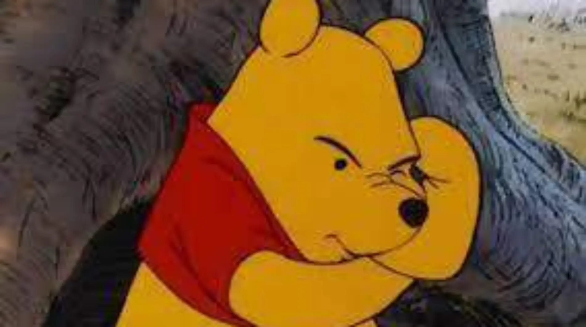 Winnie Pooh